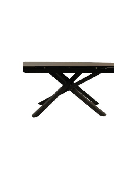ELIXIR - Table de séjour ELIXIR 2 allonges de 40 cm 